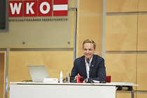 wko010.jpg