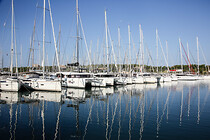 00003IMG_2484.jpg