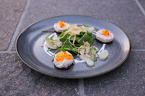004IMG_0169.jpg