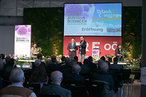027IMG_3141.jpg