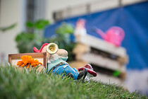 002IMG_3854.jpg