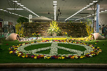 028IMG_3830.jpg