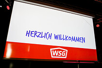 wsg-001.jpg