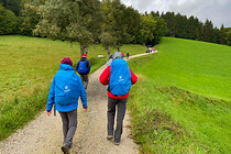 orf_wandern_0023.jpg