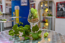 brauunion_0005-Verbessert-RR.jpg