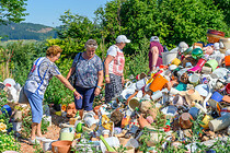 frauensommer_0010.jpg