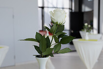 018_BT6A3716.jpg
