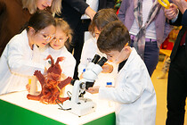 011_IMG_2285.JPG