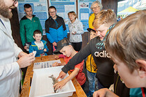LNF-Mondsee-2024-(104).jpg