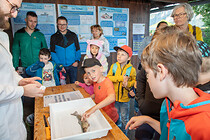LNF-Mondsee-2024-(106).jpg