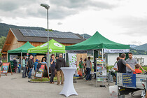 LNF-Mondsee-2024-(11).jpg