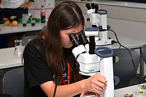 HTBLA_0017.JPG