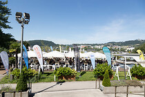 031IMG_6478.jpg