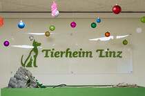 tierheim00003.jpg