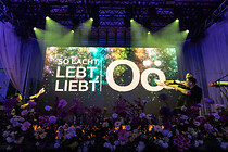 001IMG_0403.jpg