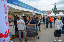 sommerfrische_2025_015.jpg
