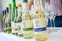 sommerfrische_2025_031.jpg