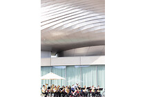 010IMG_3919.jpg
