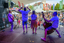 leonding_stadtfest_0605.jpg