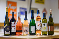 wein_ooe_005.jpg