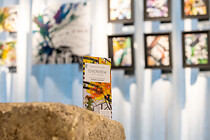 Paneum / Sonderausstellung Overview by Matteo Galvano