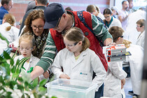 LNF 2026 / Chemiepark Linz