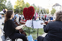 Foto007.jpg