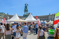 sommerfrische_wien_011.jpg