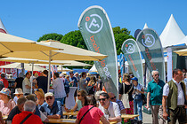 sommerfrische_wien_030.jpg