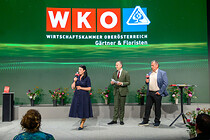 wko_020.jpg