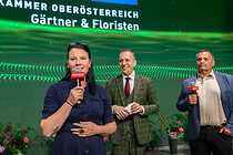 wko_021.jpg