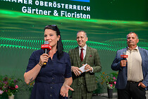 wko_023.jpg