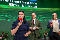 wko_024.jpg