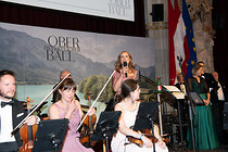 TBP_0035.jpg