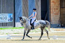 union_dressur_025.jpg