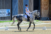 union_dressur_030.jpg
