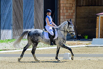 union_dressur_031.jpg