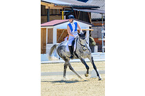 union_dressur_032.jpg