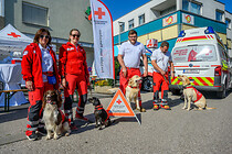 stadtfest_leonding_208.jpg