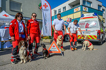 stadtfest_leonding_209.jpg