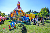 stadtfest_leonding_220.jpg
