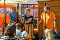 stadtfest_leonding_231.jpg
