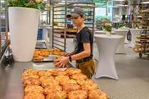brandl_135_014.jpg