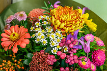 kv_gv_027.jpg