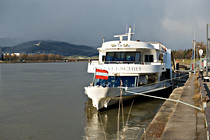 25ML1_0442.jpg