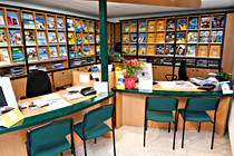 ML1_9377.jpg