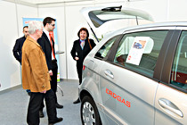 ML1_5565.jpg