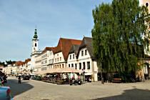 ML1_3646.jpg