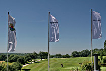 IMG_0020.jpg