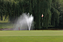 OOEV_Golf_002.jpg